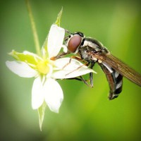 /album/catevanta/photolia-a02-jpg/