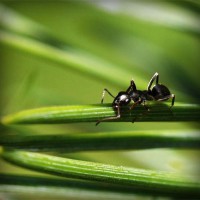 /album/catevanta/photolia-a05-jpg/