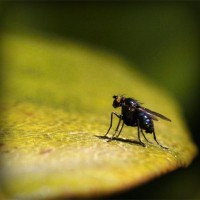 /album/catevanta/photolia-a07-jpg/